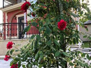 Апартаменты Intourist Villa Габала Вилла с видом на сад-17